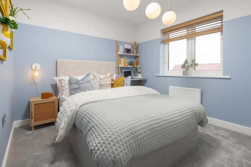 The Wickets - Image 11