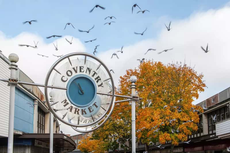 Yew Tree Meadows - Image 15