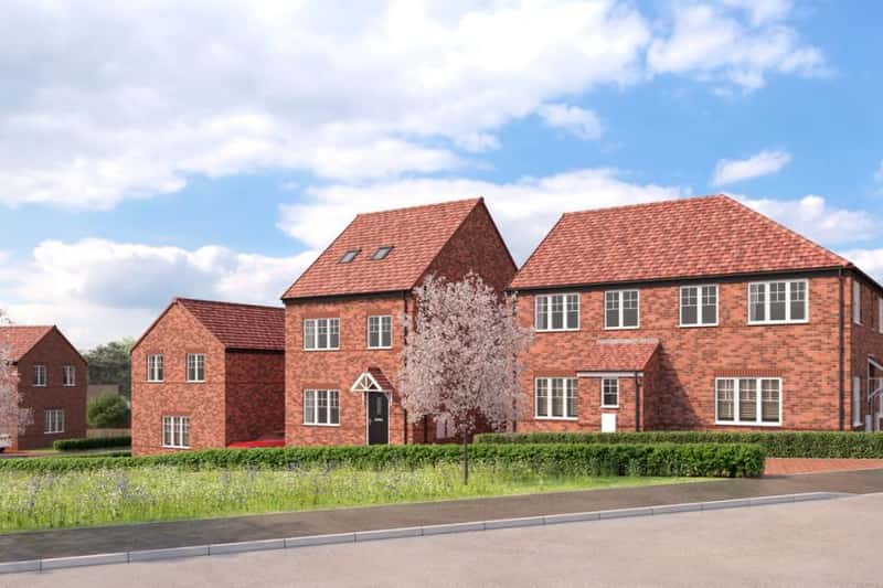 Seely Fields - Image 2