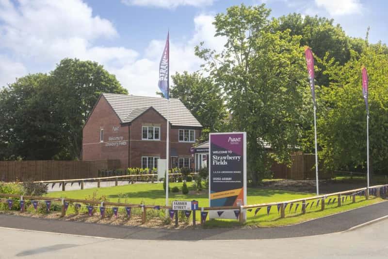 Strawberry Fields - Image 1