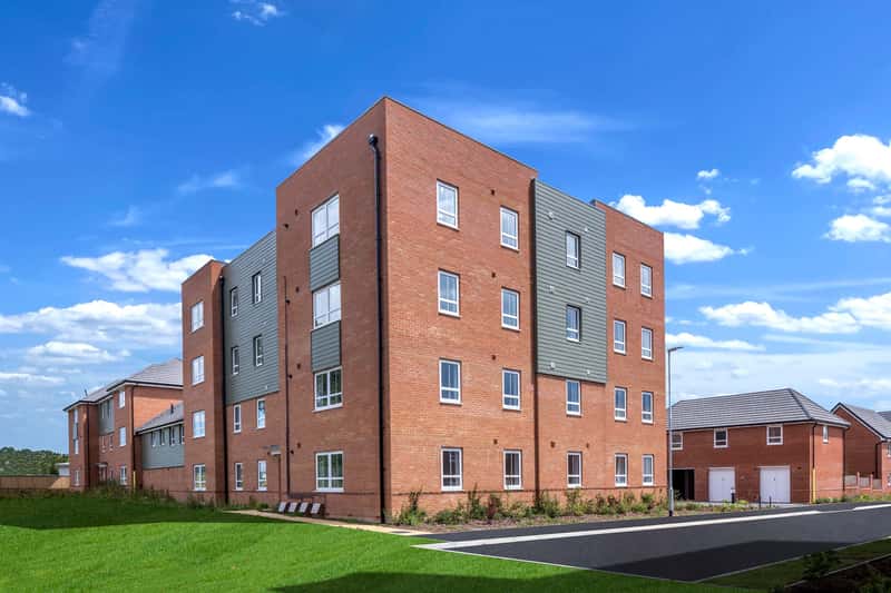 Barratt Homes at The Woodlands - Image 17