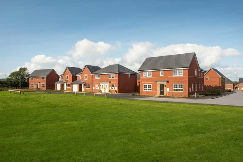 Bertelin Fields - Image 3