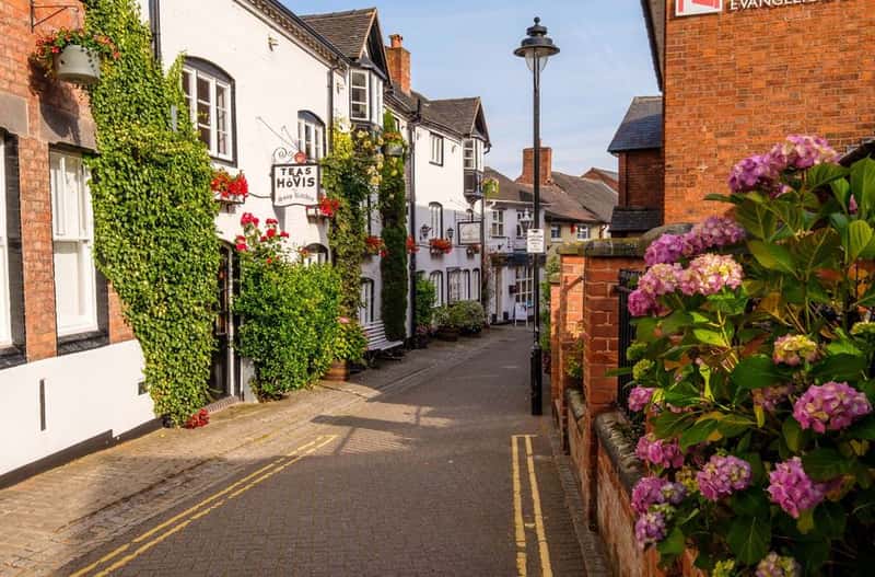 Bertelin Fields - Image 10