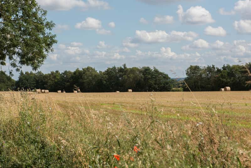 Ceres Rise - Image 10