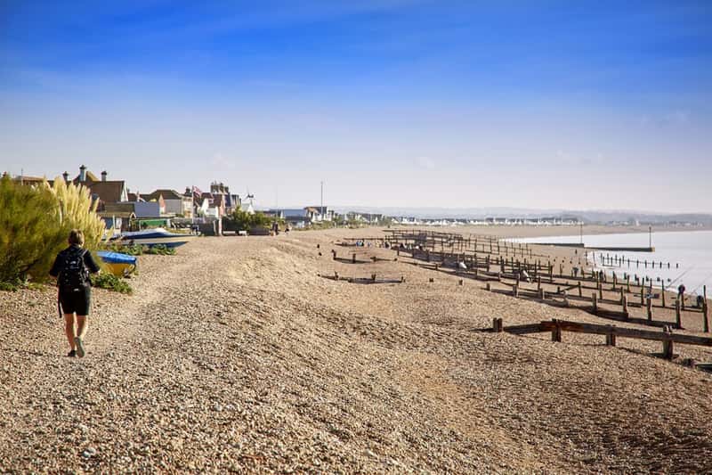 Hawthorn Grove - Image 9