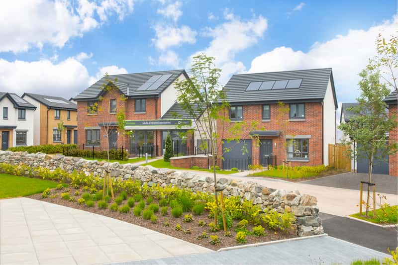 King's Gallop - Image 6