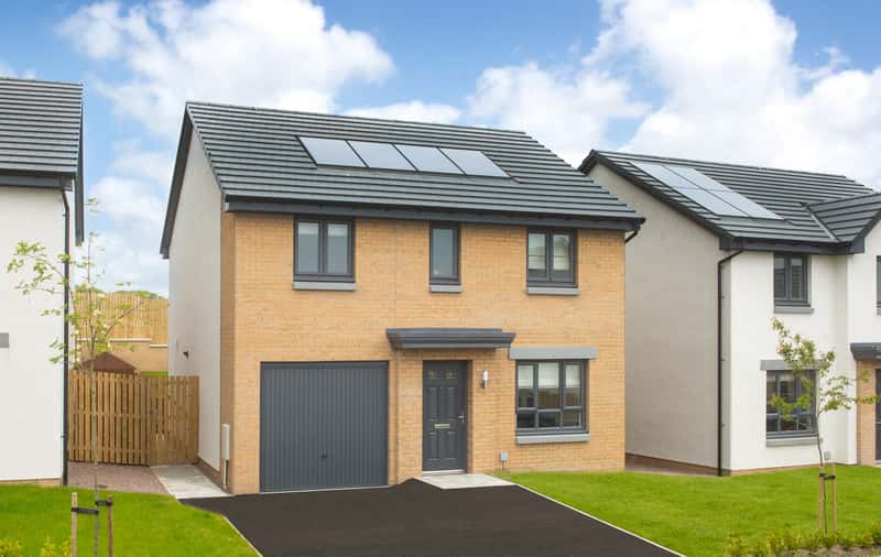 King's Gallop - Image 8