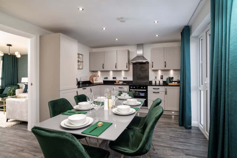 King's Gallop - Image 7