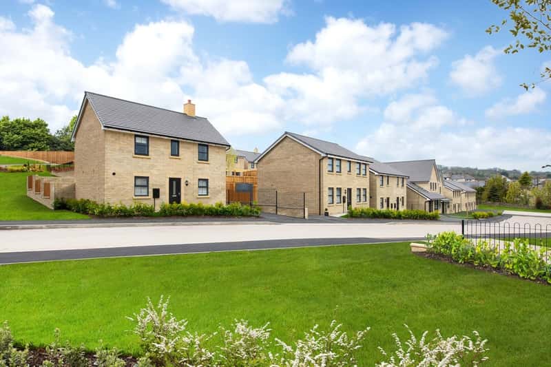 Midshires Meadow - Image 14