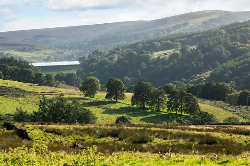 Midshires Meadow - Image 10