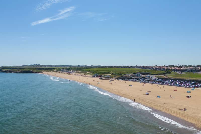 Monkton Gardens - Image 7