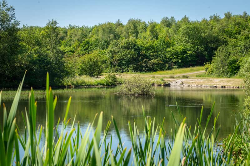 Monkton Gardens - Image 9
