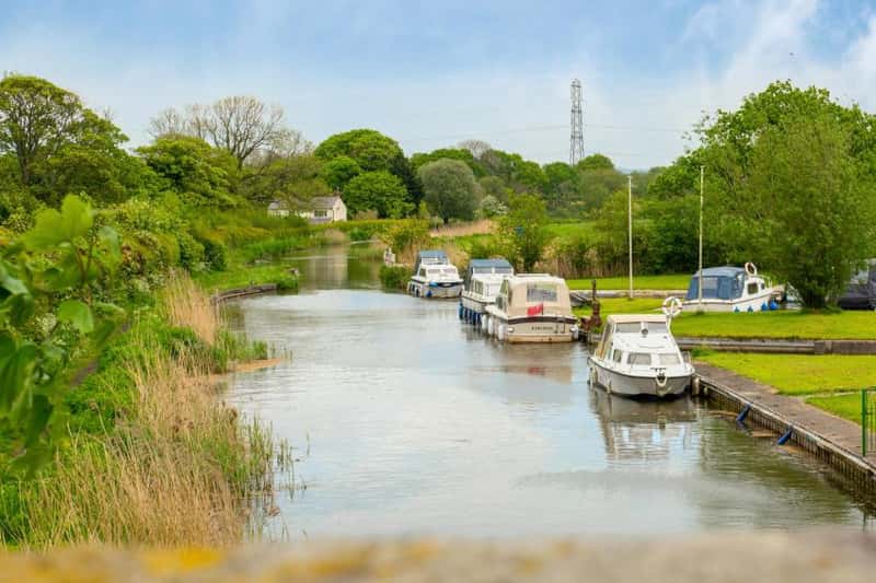 Rogerson Gardens - Image 10