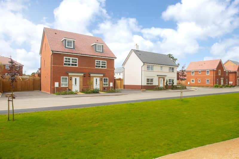 The Lilies - Image 3