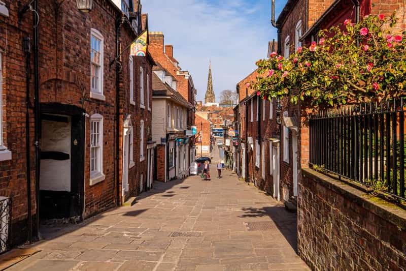 The Lilies - Image 9