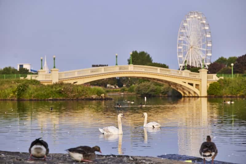 Victoria Mews - Image 11