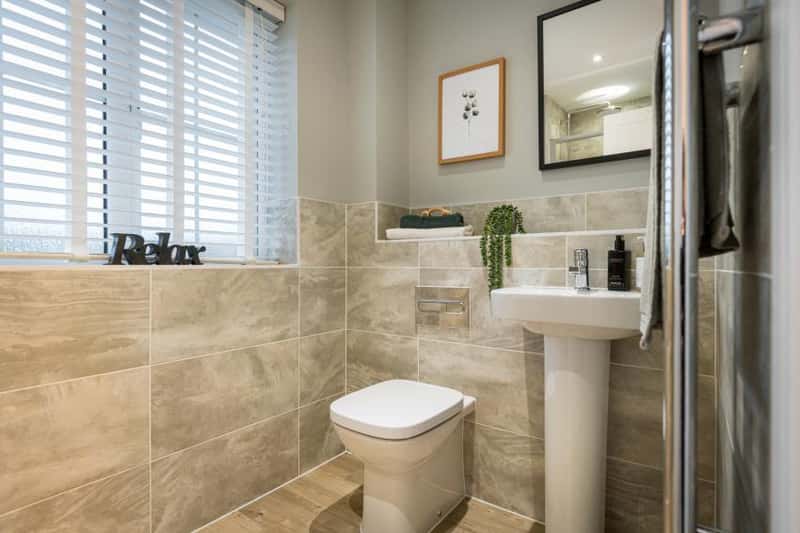 Bronze Fields - Image 13