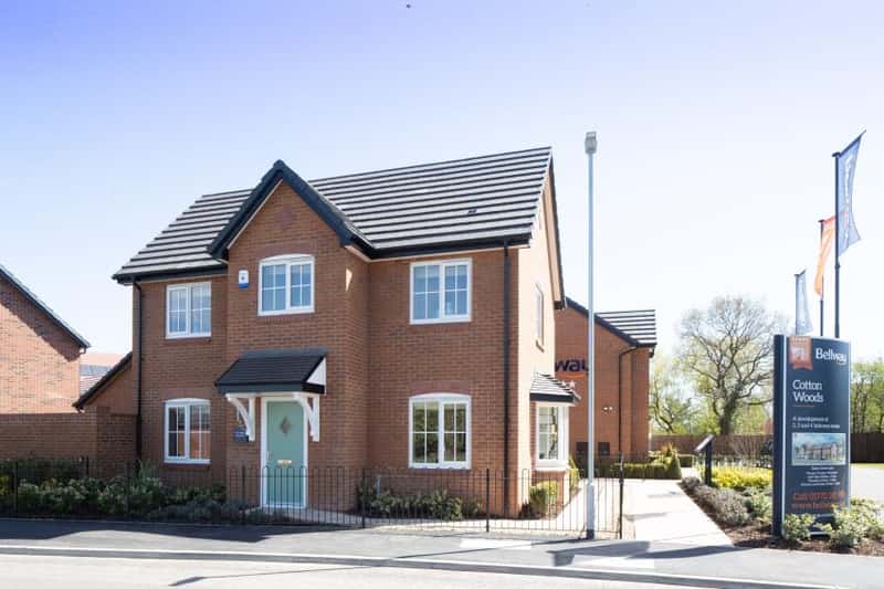 Cotton Woods - Image 3