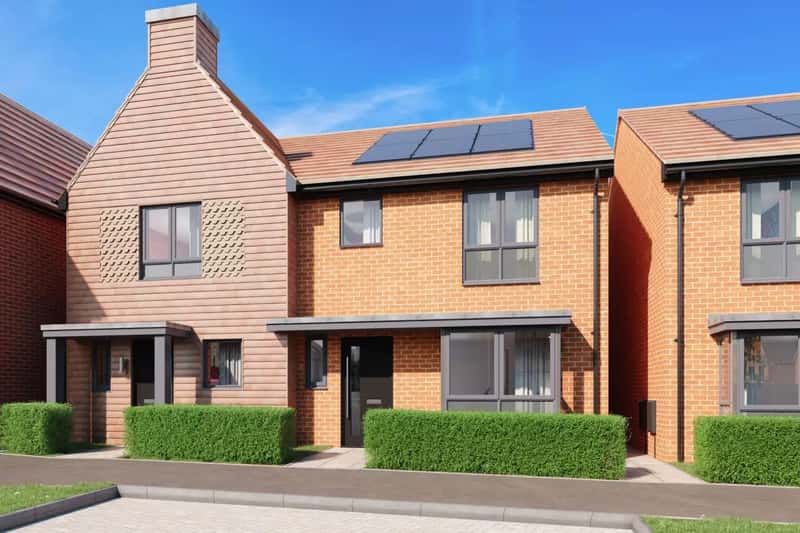 Fallow Wood View - Image 2