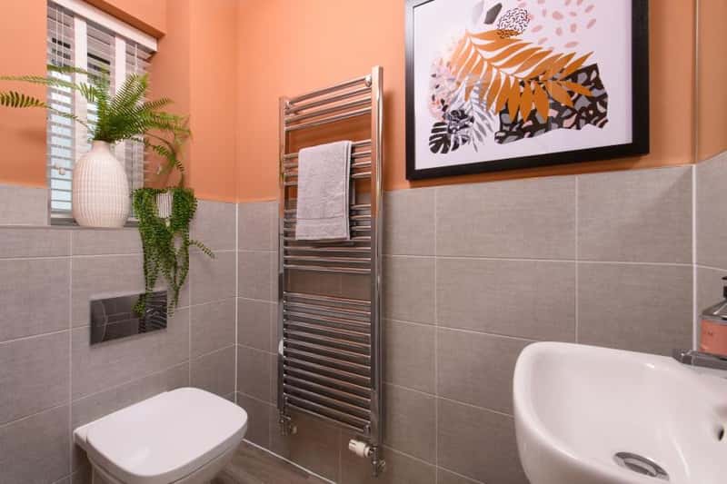 Forest Walk - Image 13