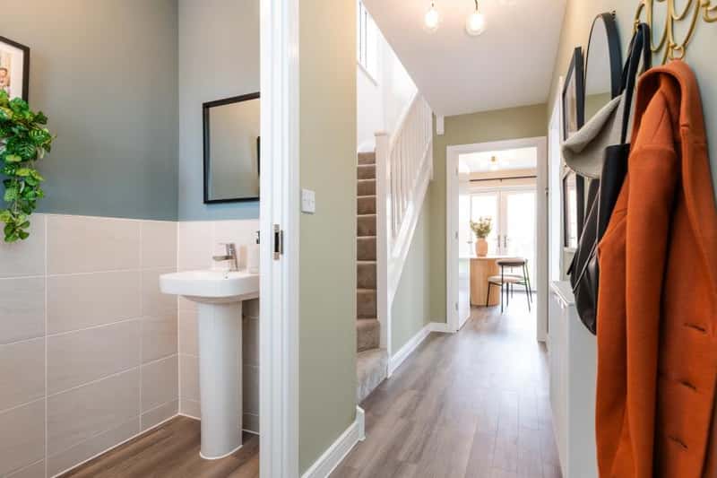 Forest Walk - Image 19