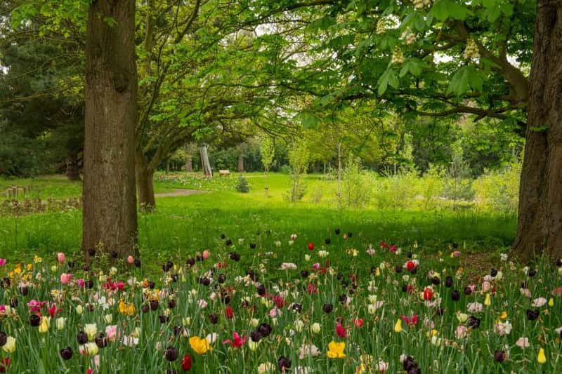 Huntercombe Walk - Image 4