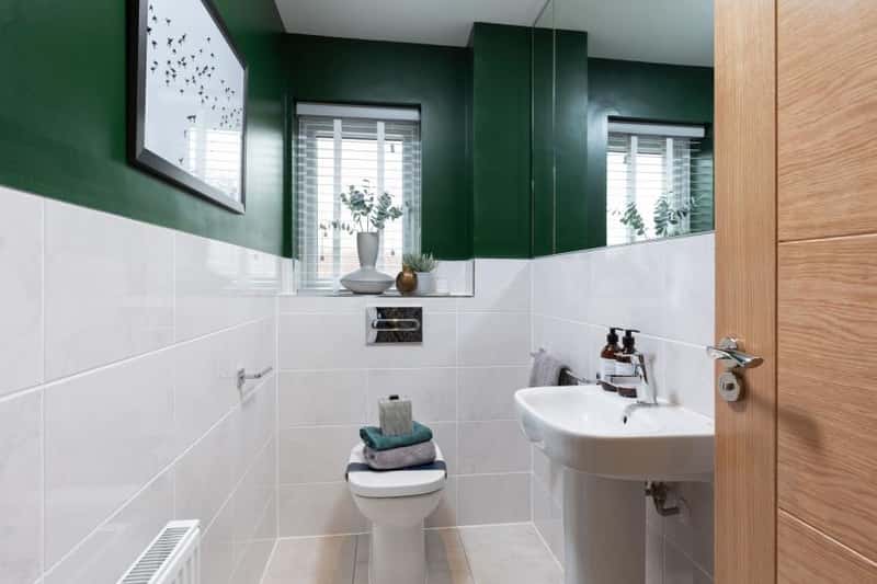 Lucas Green - Image 13