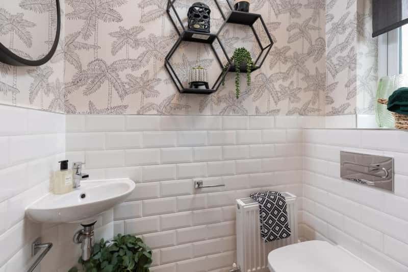 Lucas Green - Image 14