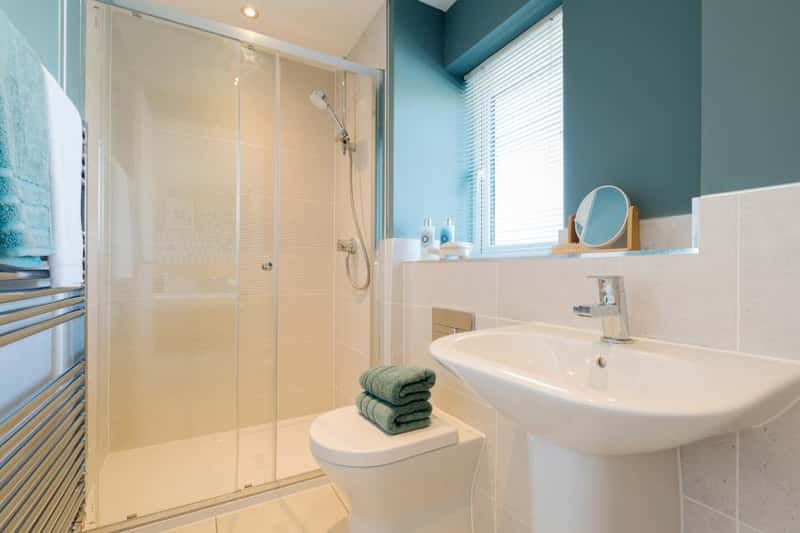 Parc Mawr - Image 13