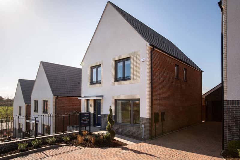 Rhiwlas at Plasdŵr - Image 3