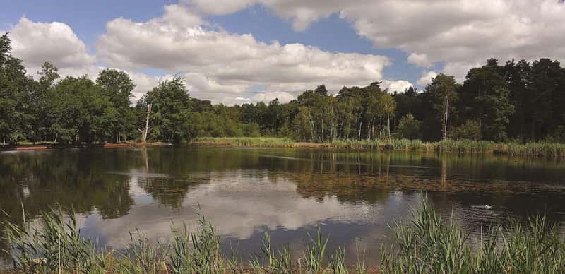 Albury Place - Image 10