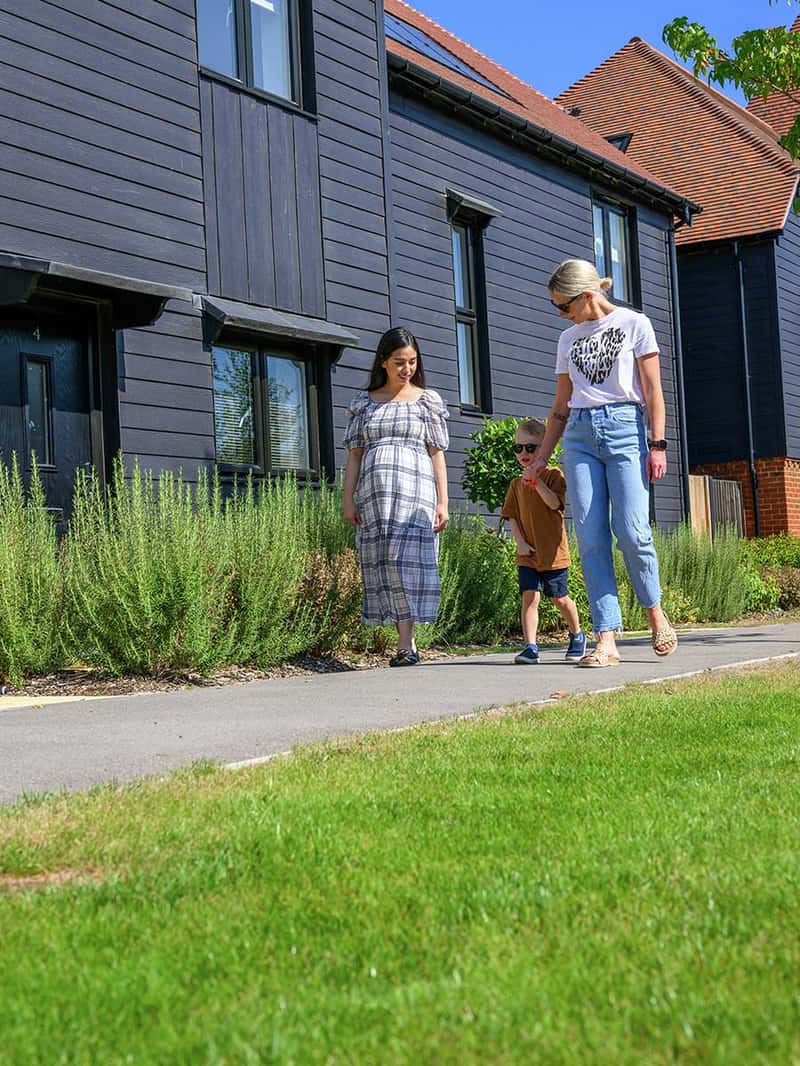 Foal Hurst Green - Image 5