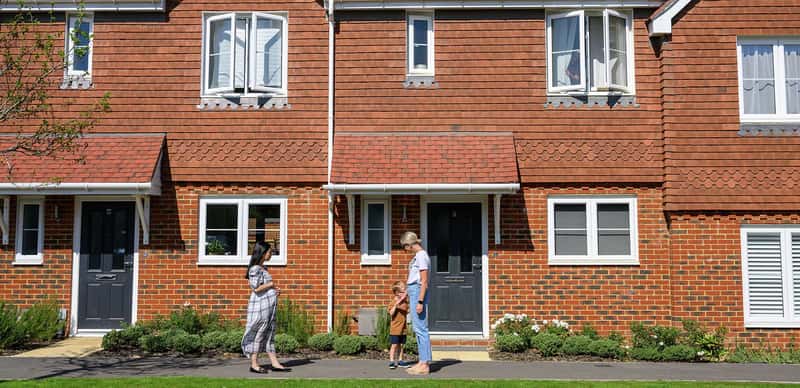 Foal Hurst Green - Image 6