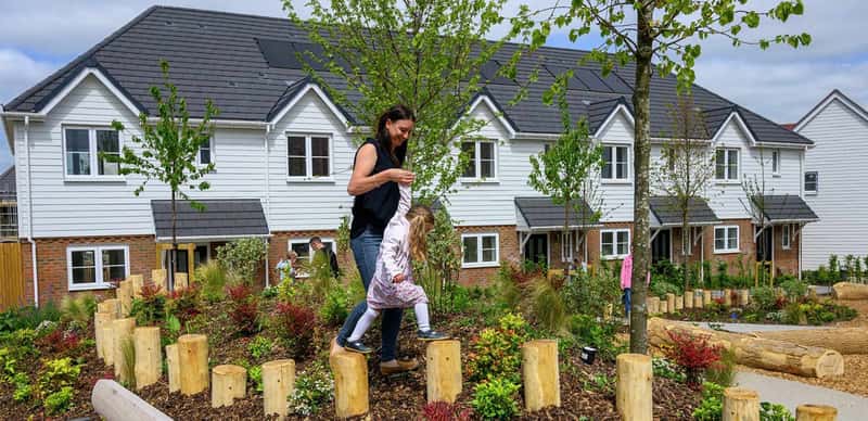 Foal Hurst Green - Image 12