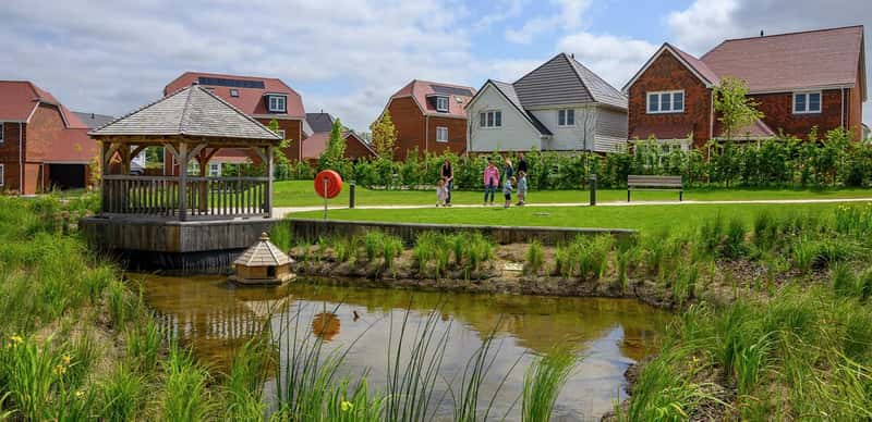 Foal Hurst Green - Image 10