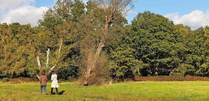 Holmhurst Mews - Image 7