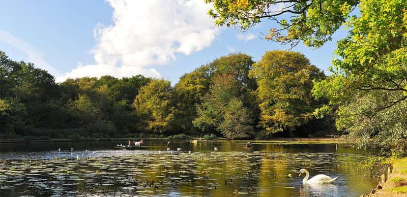 Holmhurst Mews - Image 8