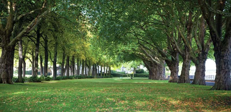 Langham Square - Image 12