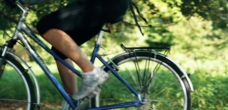 Langham Square - Image 14