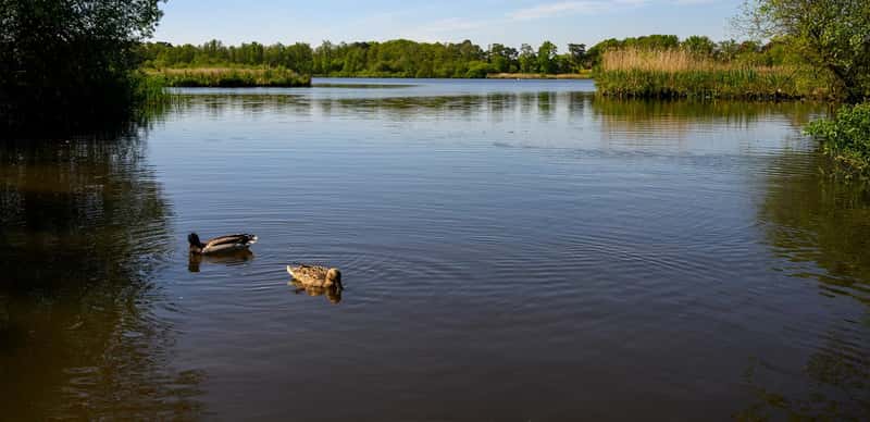 Pinewood Green - Image 10