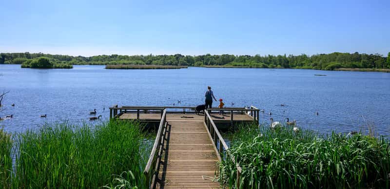 Pinewood Green - Image 11