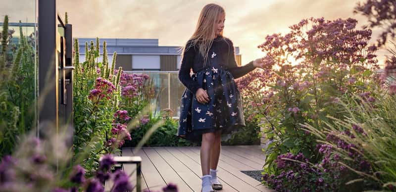 Prince Of Wales Drive - Image 14