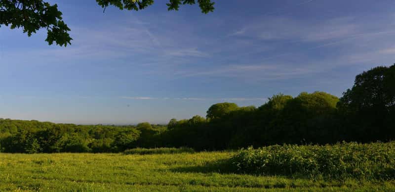 Sandlands Park - Image 10