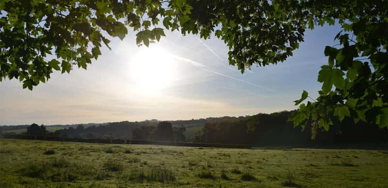 Sandlands Park - Image 11