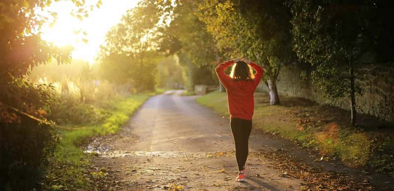The Arches - Image 1
