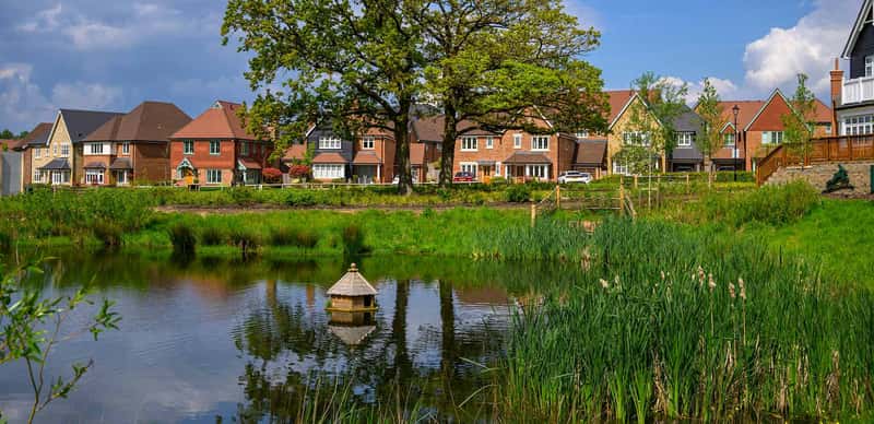 The Bloom Collection - Image 1