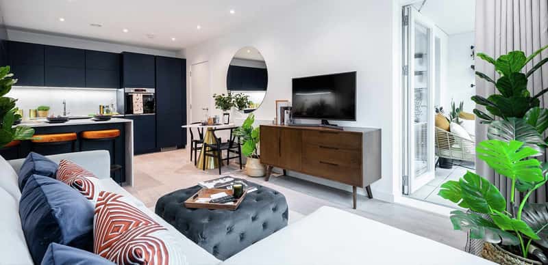 The Cottonworks - Image 10