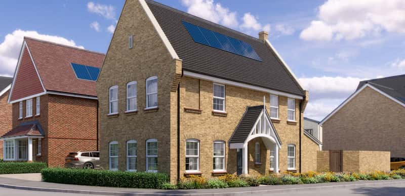 The Woodland Collection - Image 3