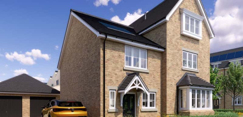 The Woodland Collection - Image 5