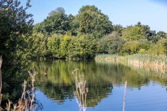 Elsenham Brook - Image 5